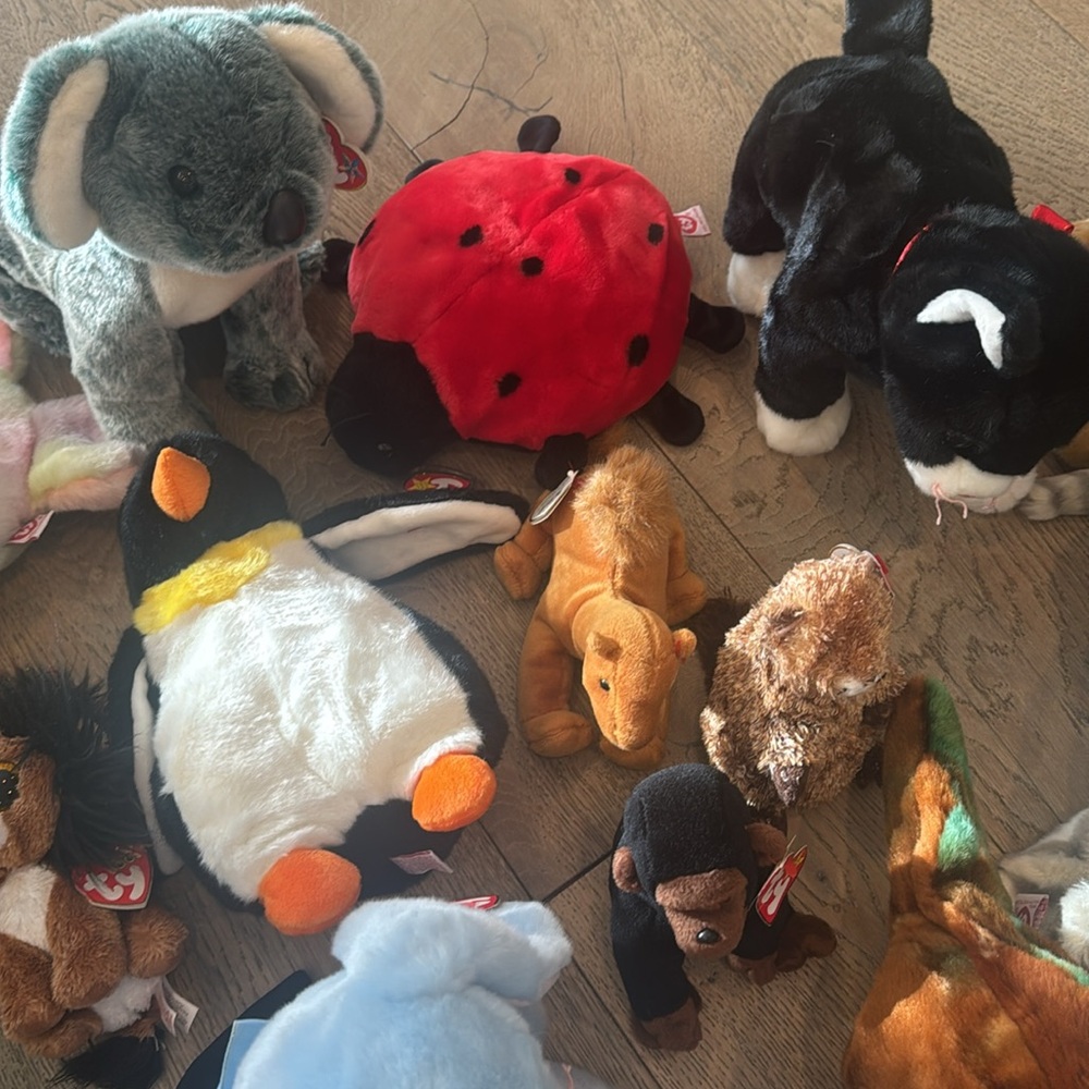 TY BEANIE BABIES Bundle of 13 Like New!